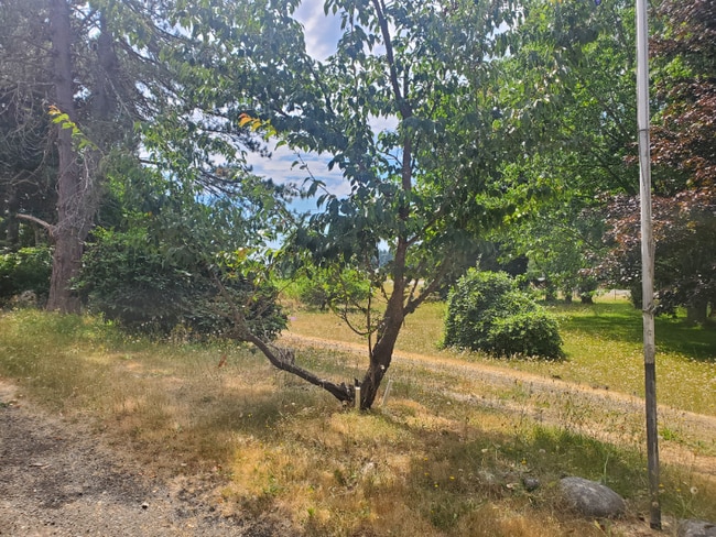 Photo - 10925 Yelm Hwy SE