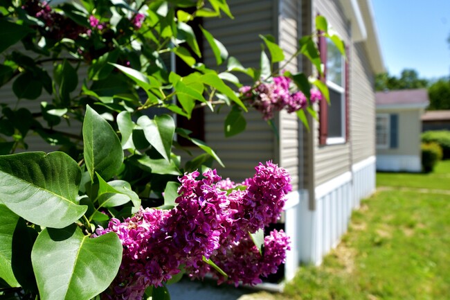 Kingsbrook Estates - Kingsbrook Estates Apartments