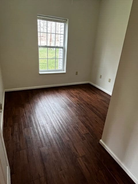 Photo - Sunny Buck Gardens