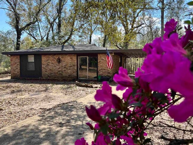 Building Photo - 3649 Scoggins St Rental