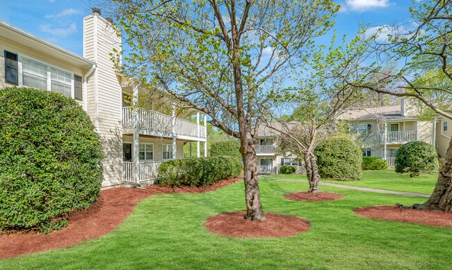 The Cove Apartment Homes