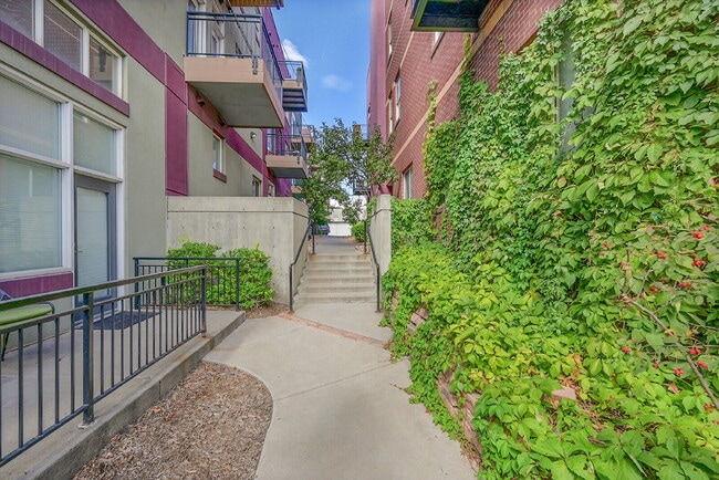 Photo - $1,700.00, Studio condo with one bathroom. Unit 3F