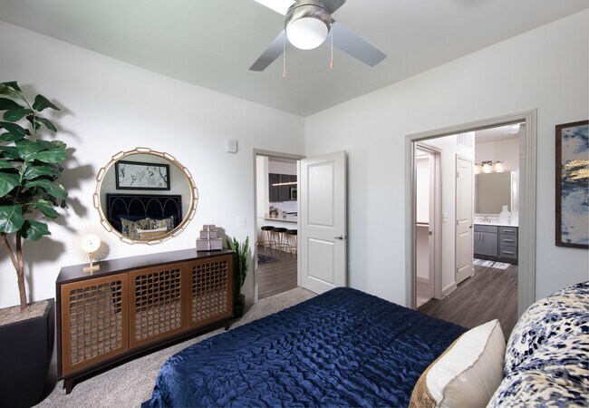 The Luxe at Cedar Hill 55+ Active Adult