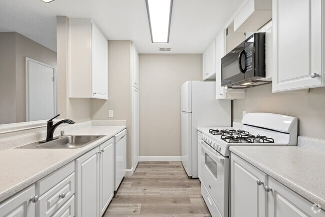 2BR, 1BA - 980SF - Kitchen