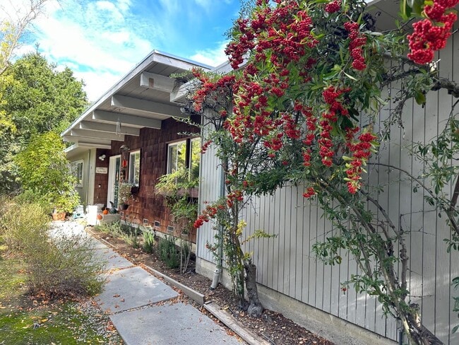 Photo - 121 Escanyo Way