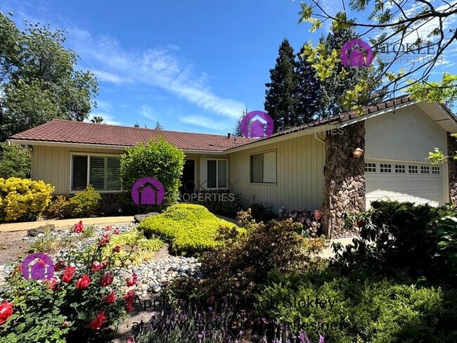 Building Photo - 2730 Buena Vista Ave