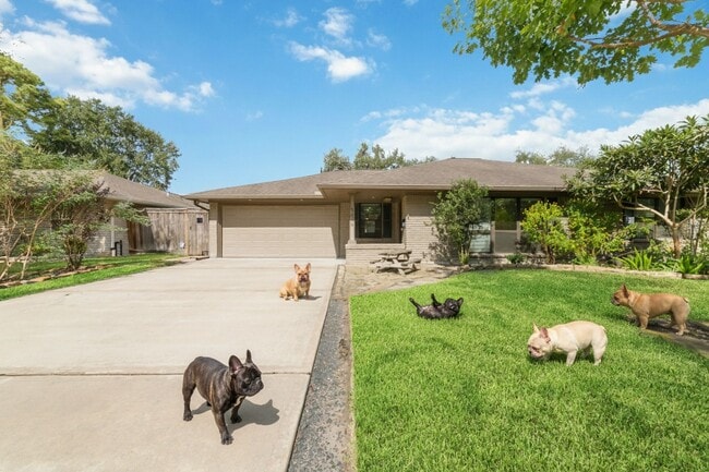 Building Photo - 5438 Briarbend Dr