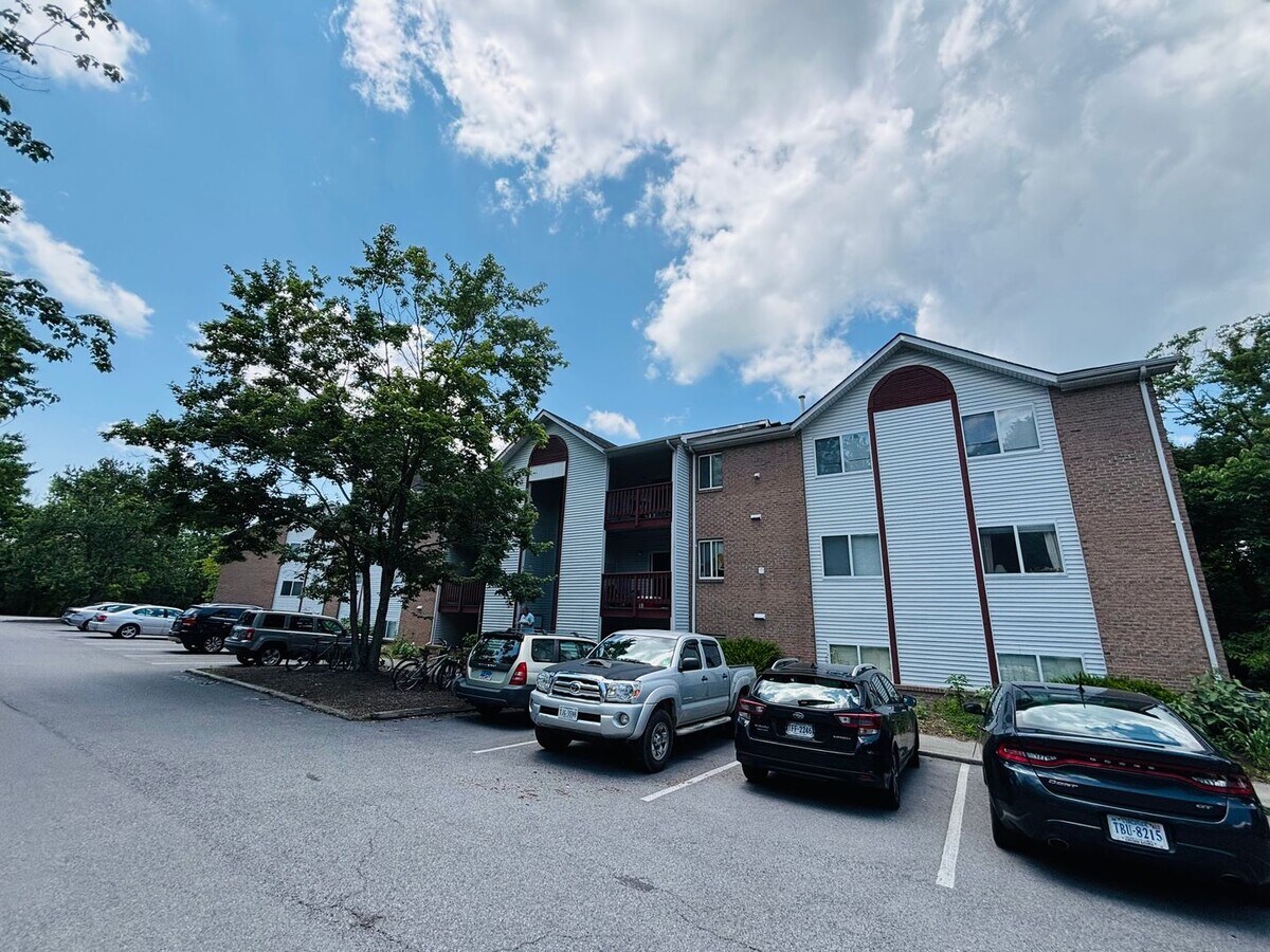 3 Bedroom, 2 Bath Condo - 3 Bedroom, 2 Bath Condo