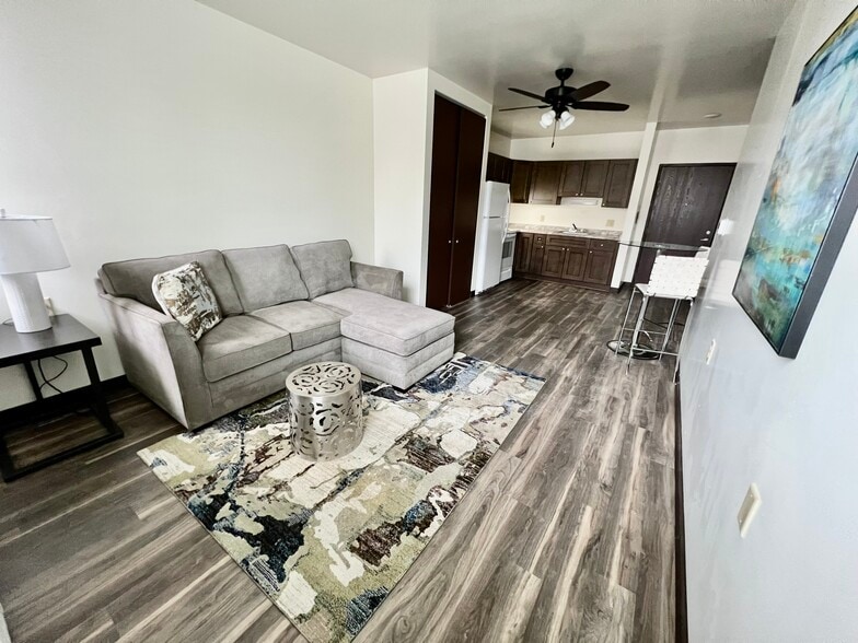 1 BD Model Unit LR/Kitchen