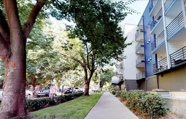 The Edge Apartments
