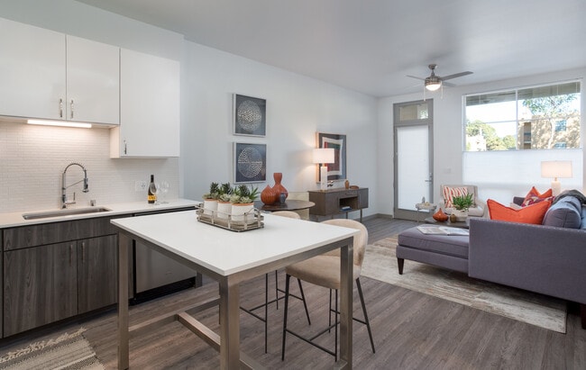 Open concept kitchen and living area
