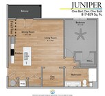 juniper (1).png