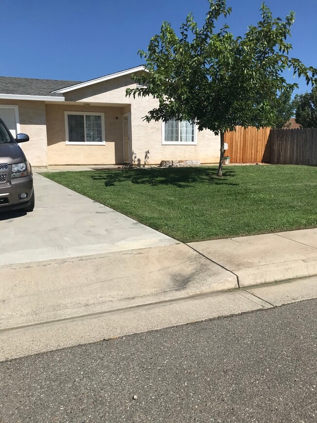 Front yard - 1720 Kemper Ave
