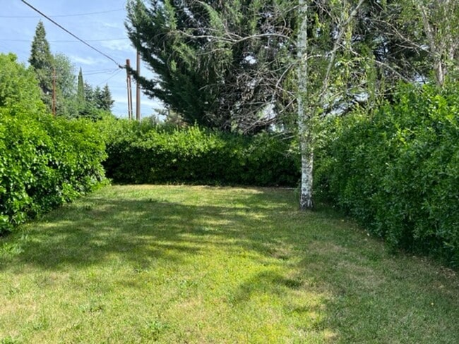 Photo - 2 Bed House - Charm, Privacy, Storage and Convenience