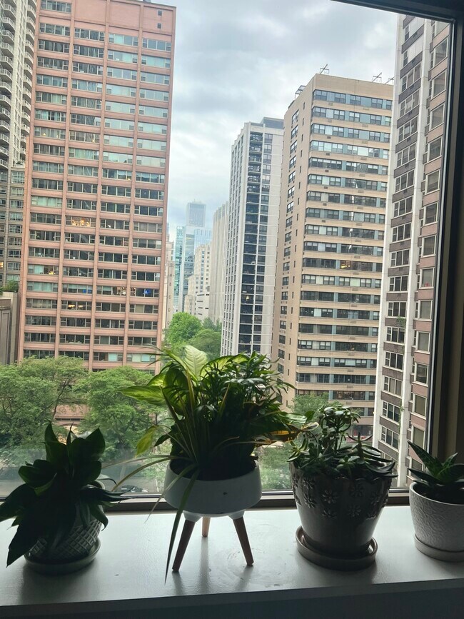 Photo - 253 E Delaware Pl Condo Unit 9H