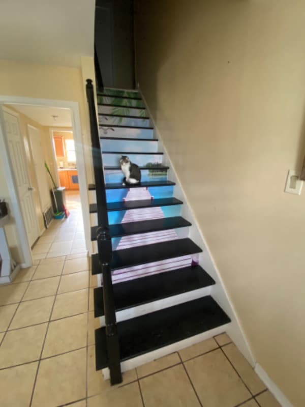 Photo - 692 Wall Blvd