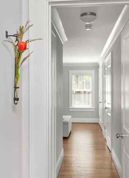 Photo - Newly renovated 2 bedroom for rent