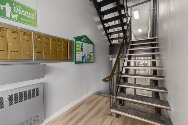 Photo - Grenada Arms