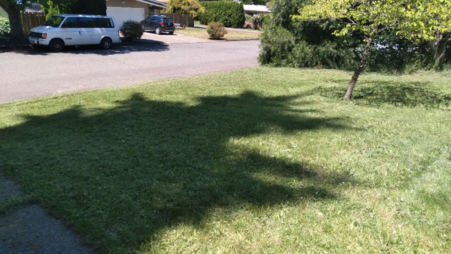 Photo - 404-404 N Morton St Unit 404