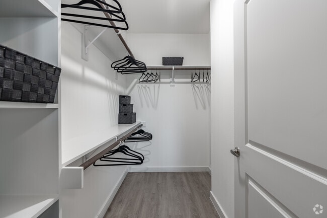 1BR, 1BA - 677SF - Walk in Closet