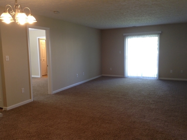 Photo - 2926 Limber Pine Dr