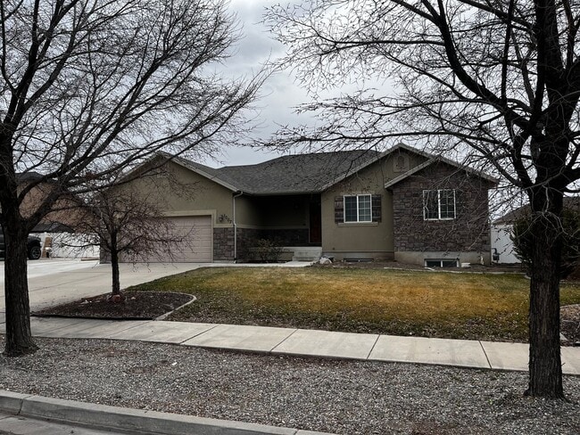 Photo - Beautiful 3 Bedroom/2 Bath Home in Springville!