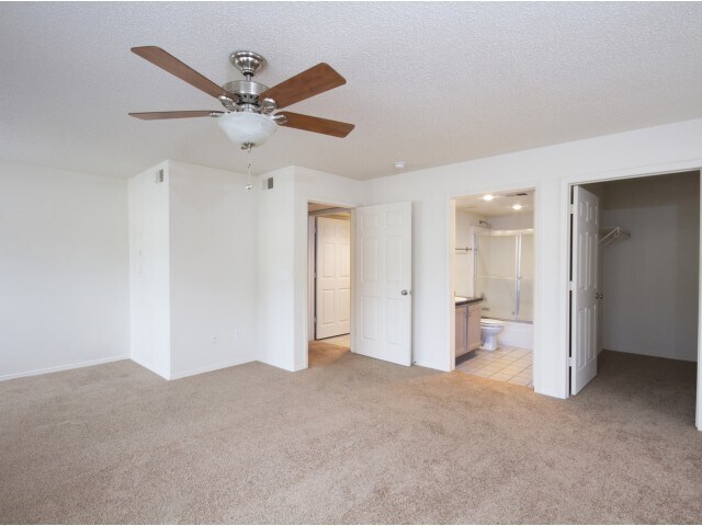 Photo - Willow Creek