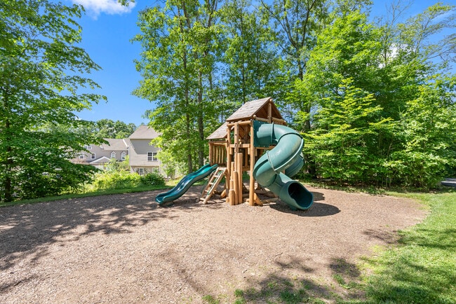 Dream Mountain Hollow