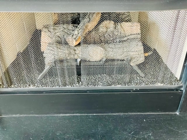 Photo - 67 Rhododendron Dr