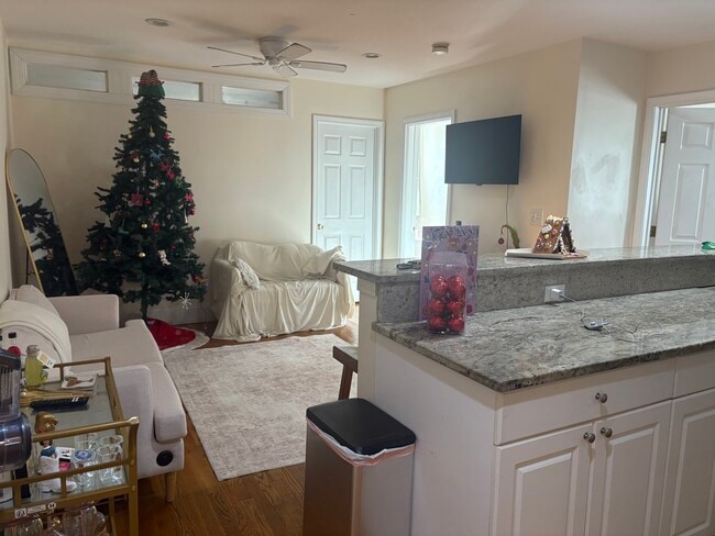 Photo - 60 Egmont St