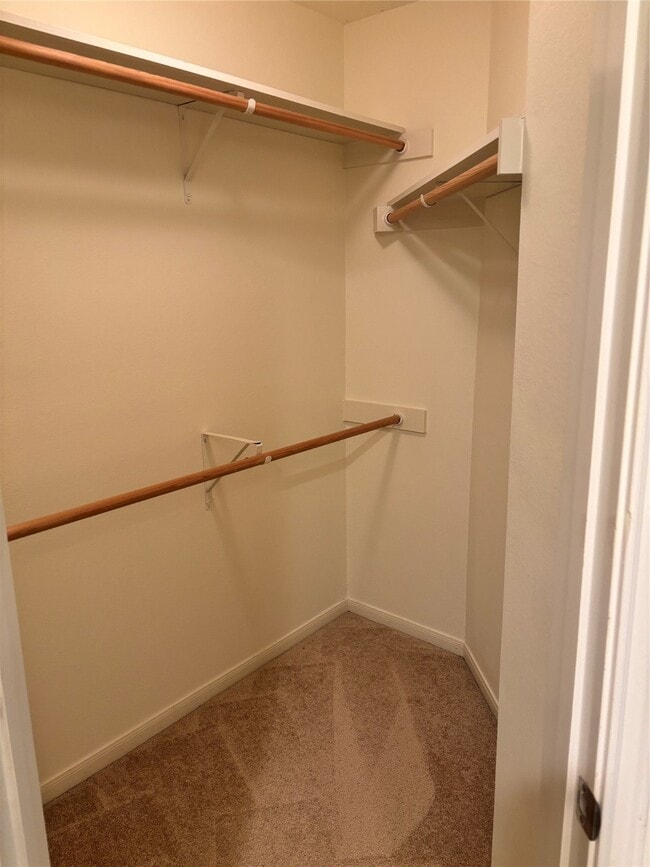 Photo - 16 Scarlet Woods Ct