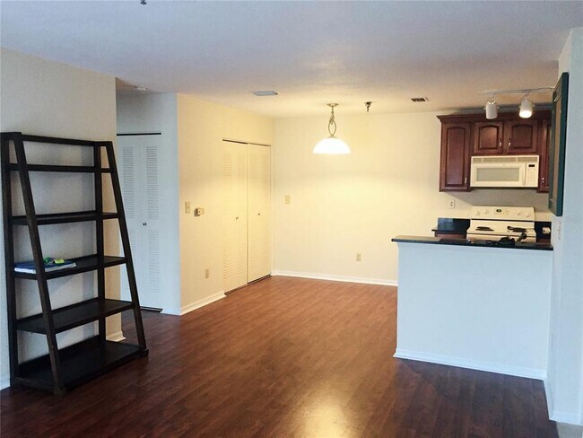 10263 Gandy Blvd N Unit 513