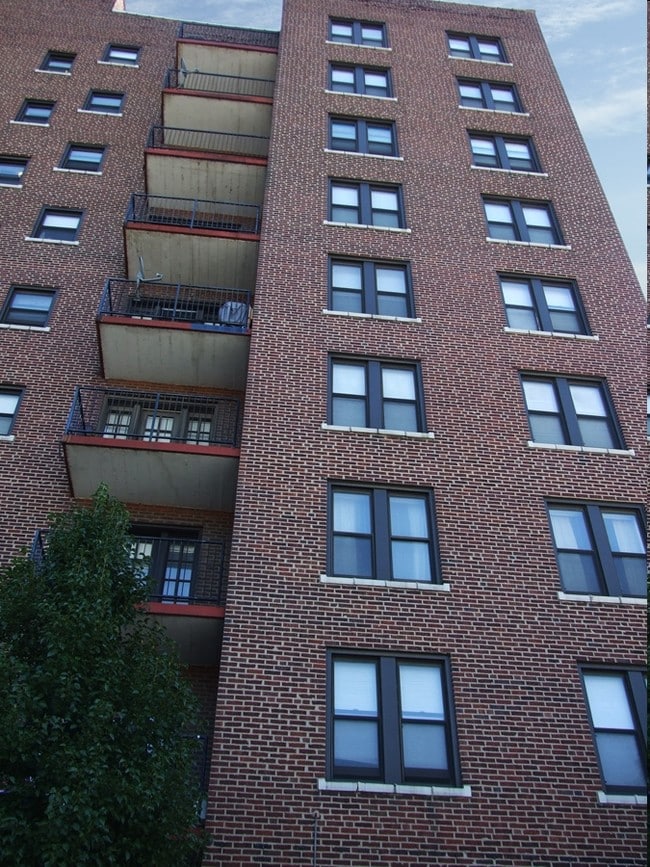 The Leonardo - The Leonardo