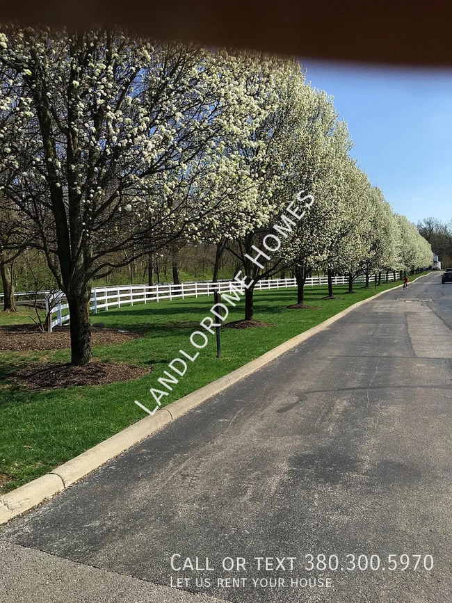 Photo - 2623 Bloom Dr