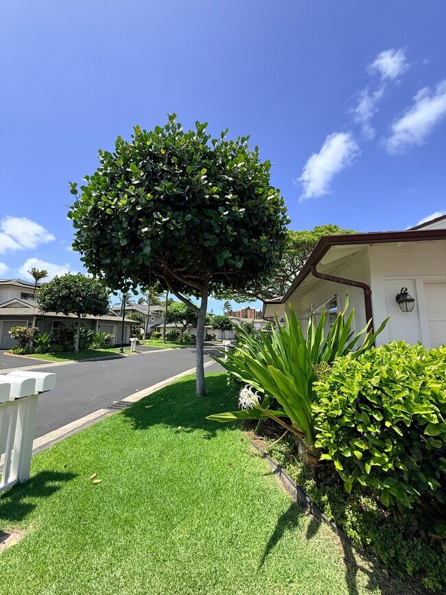 Photo - 92-1170-1170 Olani St
