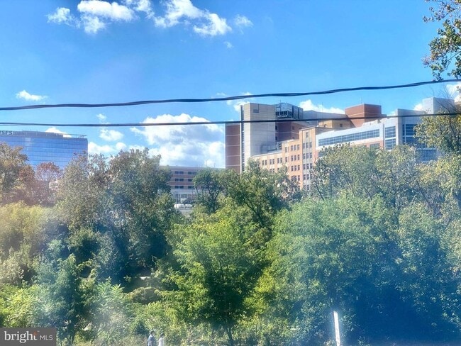 Photo - 1601 West St Unidad APARTMENT 1