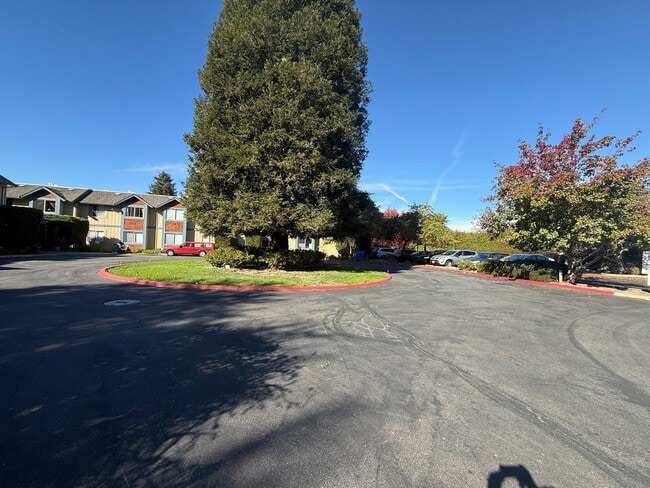 Building Photo - Low income 62+ 1 bedroom at Vista Prieta!