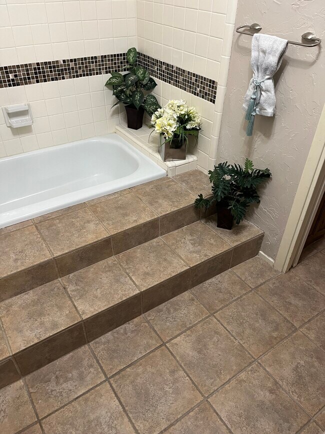 Master Step-up Bathtub - 3136 Pin Oak Ct