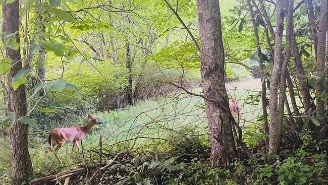 Photo - 2015 Union School Rd SW