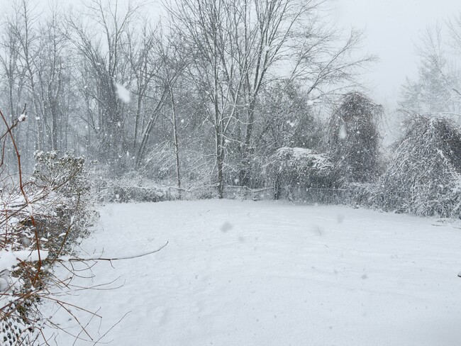 Yard - 5009 Hopkins Rd