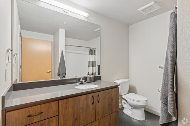 1BR, 1BA - 495SF - Bathroom