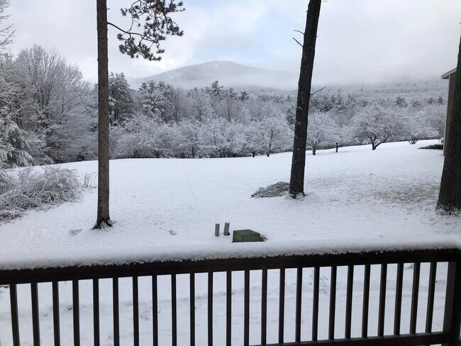 Photo - 65 Bear Puddin Ln