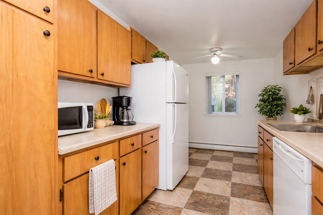 Photo - Anthos at Vestal