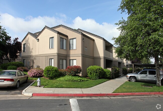 Photo - The Renaissance