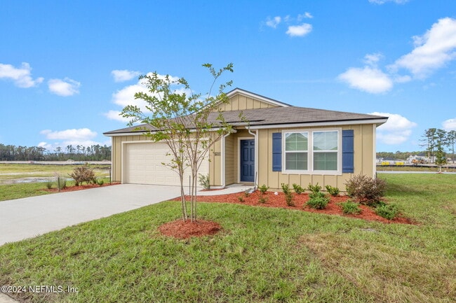 Photo - 12573 Rubber Fig Ter