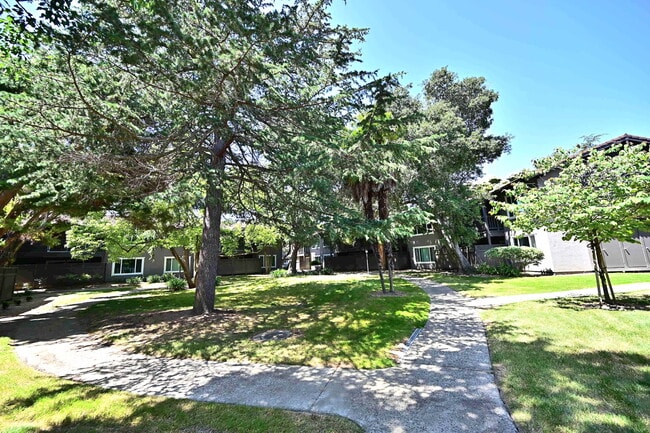 Casa Arroyo Apartments