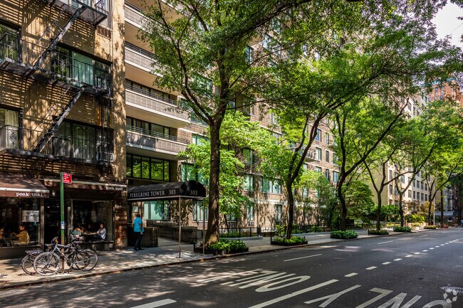 Photo - The Peregrine