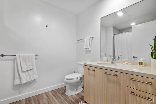 2BD 2BA 980 SQFT - 923 Folsom