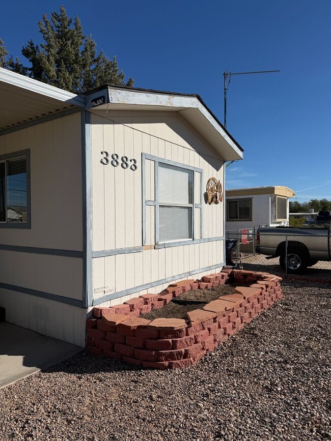 Photo - cute and cozy