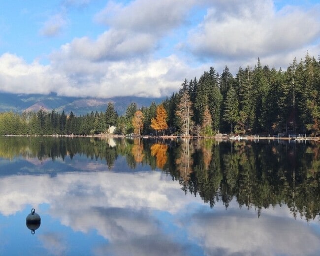 Building Photo - Cabin on the Lake